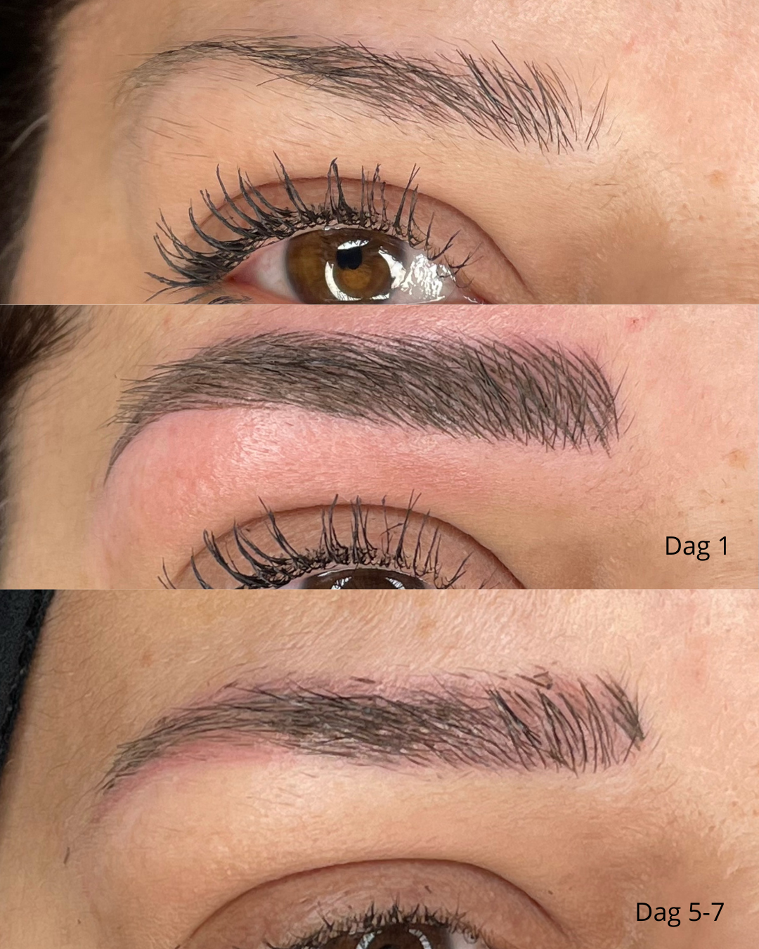 microblading 3d bryn i aarhus permanente bryn med permanent makeup århus centrum